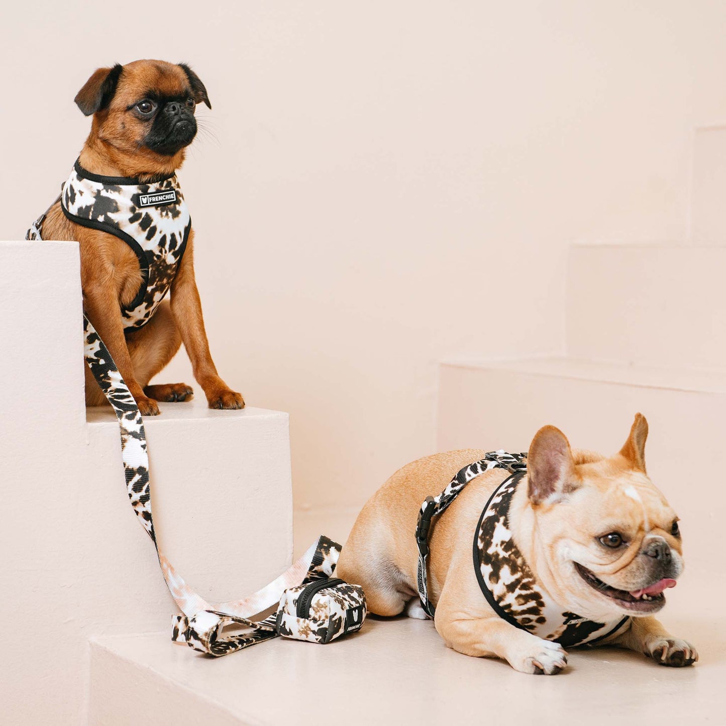 Frenchie Duo Reversible Harness - Earthy Tie Dye