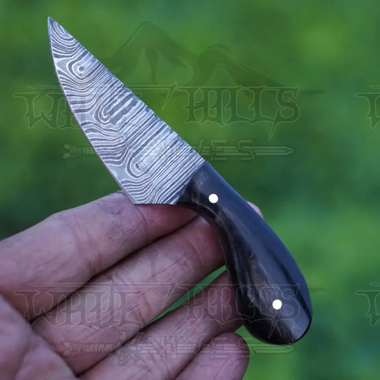 Handmade Damascus Steel Knife - Buffalo Horn Handle - 5" Full Tang Hunting & Camping Knife - SK-028