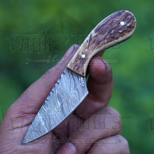 Handmade Damascus Steel Knife - Stag Antler Handle - 5" Full Tang Hunting & Camping Knife - SK-031