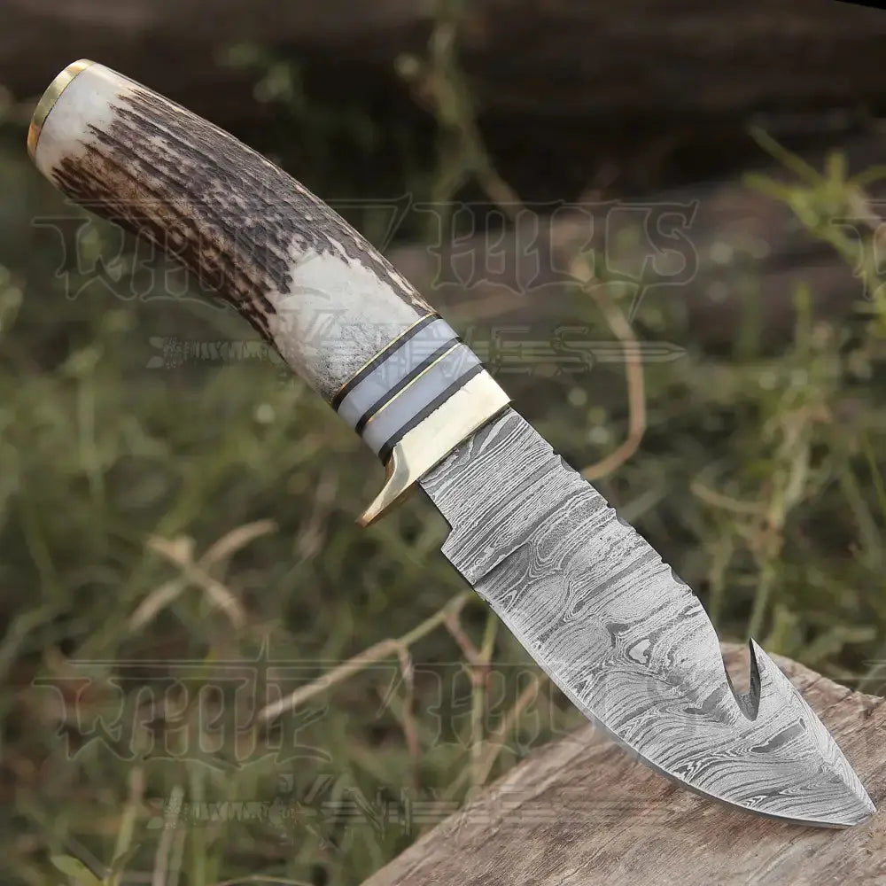 Handmade Forged Damascus Steel Gut Hook Hunting Knife EDC With Original Stag Antler Handle WH 4340
