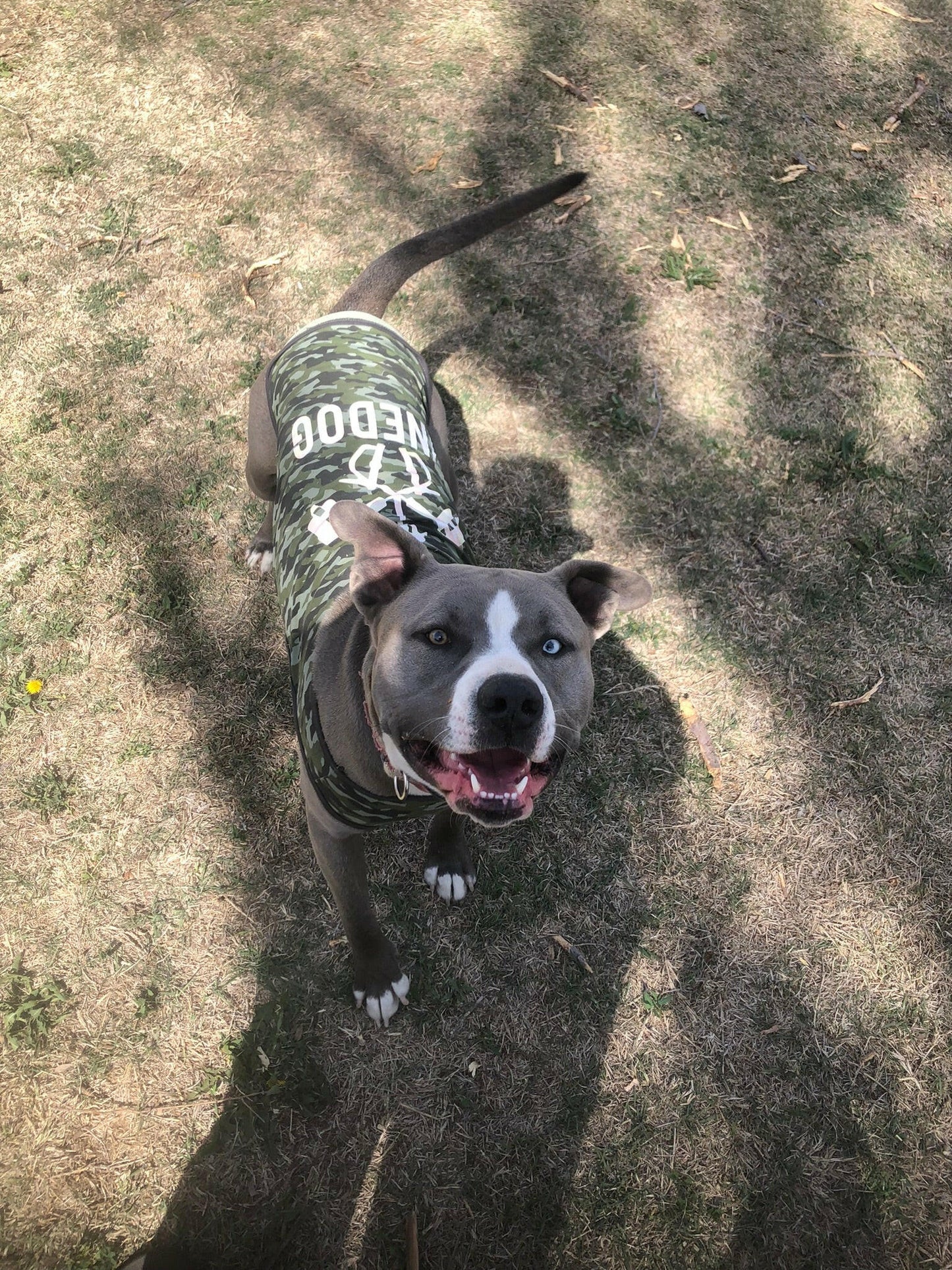 Doggie Skins - Doggie Tank