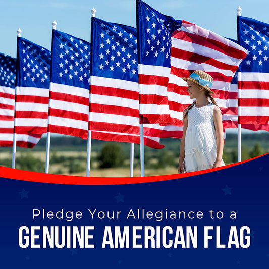 Nylon American Flag — Fade-Resistant Made in USA