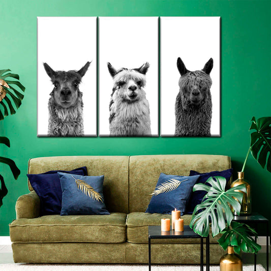 Trio Alpaca Wall Art