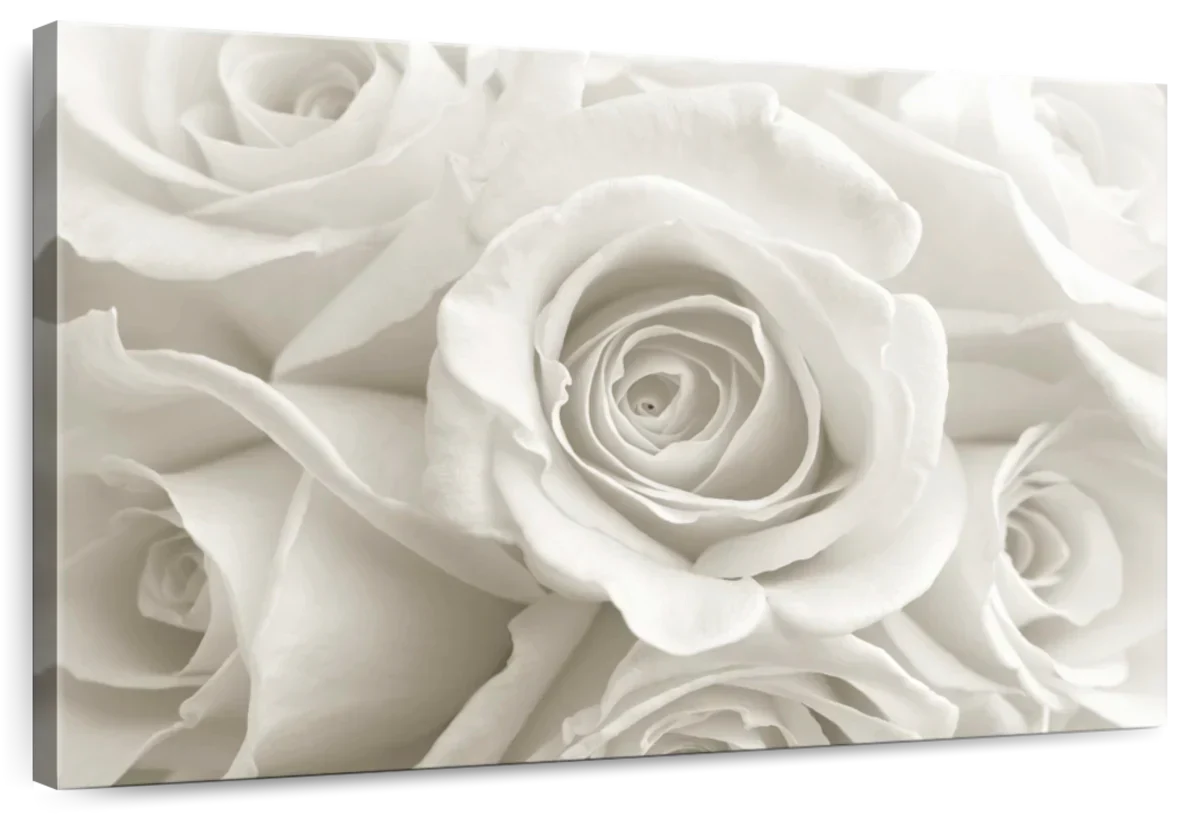 Pure White Roses Wall Art