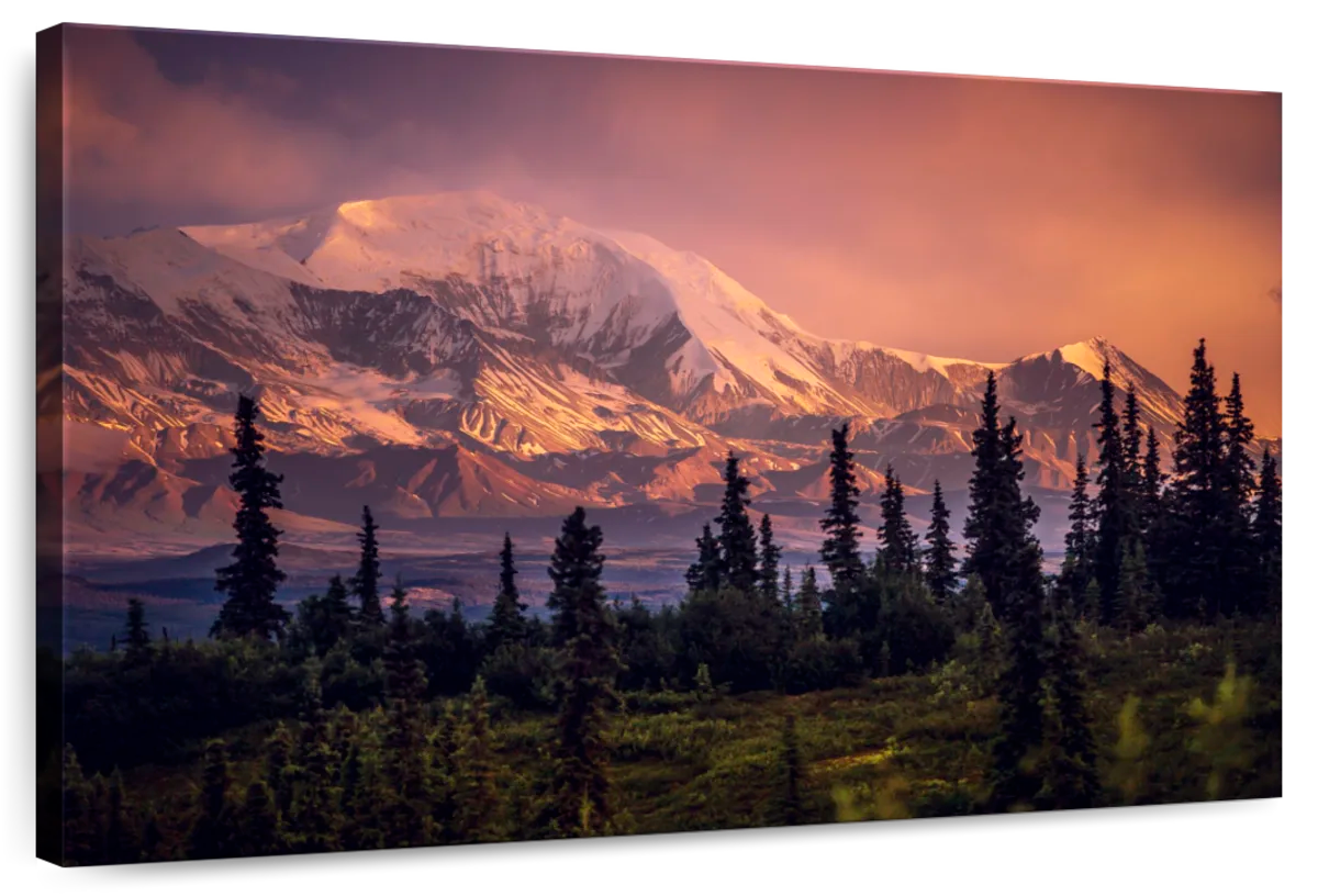 Denali Mountains And Forest Wall Art