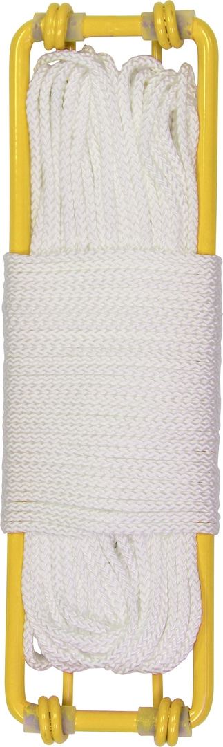 Golden Retriever - Disc Retriever