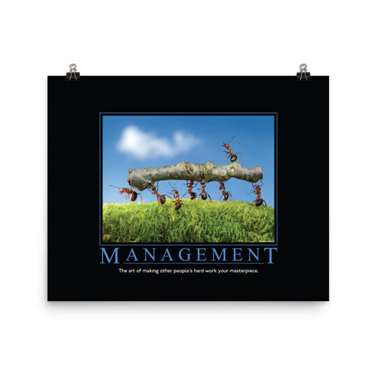 Management Demotivational Poster