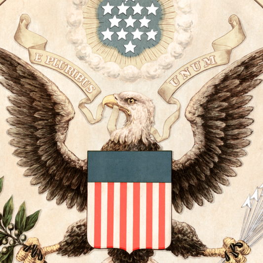 Seal of the United States by Andrew Graham Print