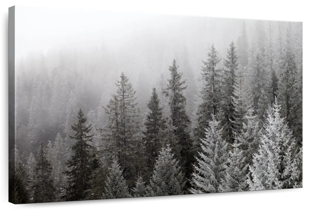 Winter Mist Wall Art