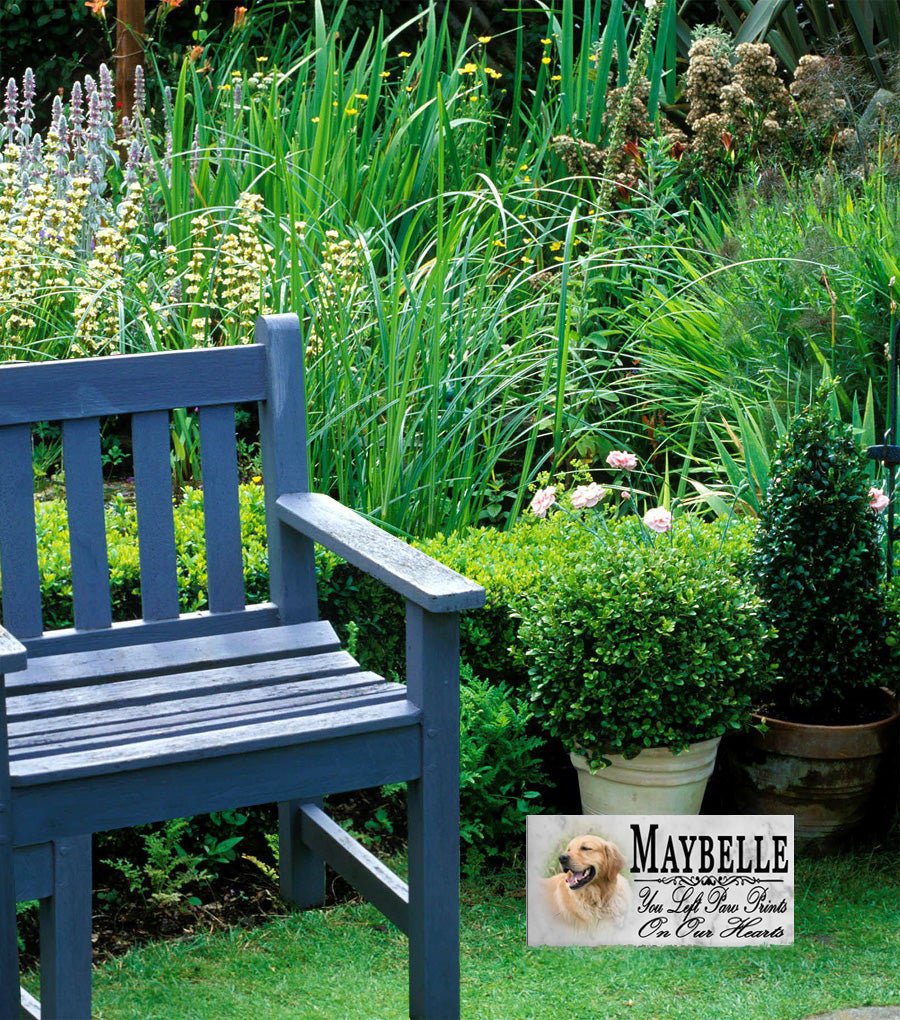 Pet Photo Memorial Stone Personalized Picture Custom Name