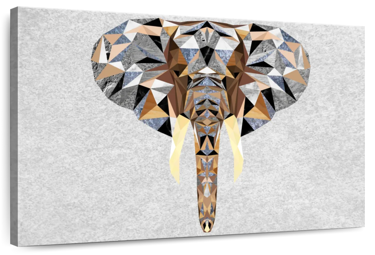 Geometric Colorful Elephant Wall Art