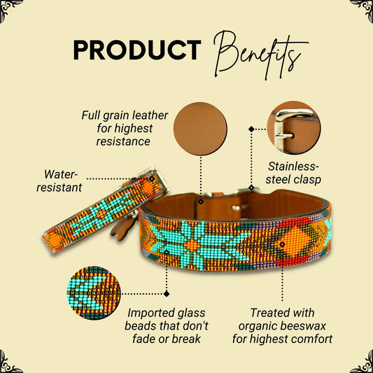 Sardinia Sambboho dog collar (Glam Collection)