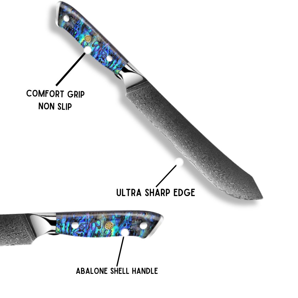 Ronin VG10 9" Chef Knife Damascus Steel Knife with Abalone Shell Handle