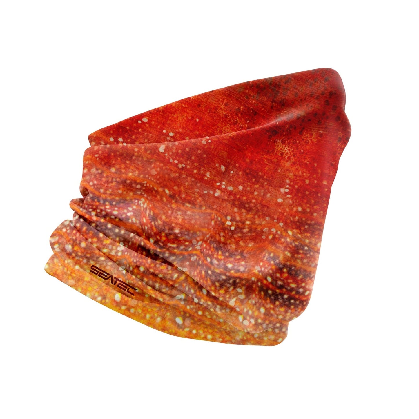 SPINY LOBSTER | SHIELD