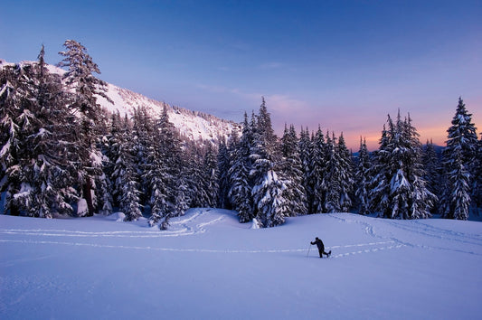 Capture Central Oregon
