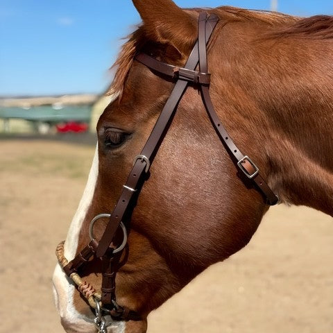 Headstall with Braided Nose Sidepull