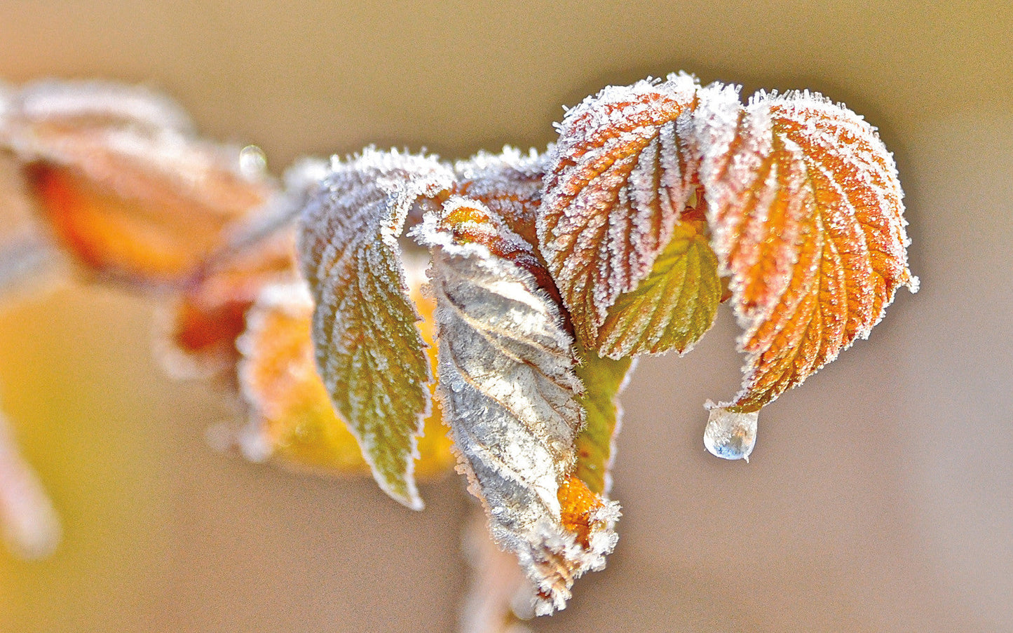 Capture Minnesota II: Minnesota Through the Eyes of Minnesota Photographers