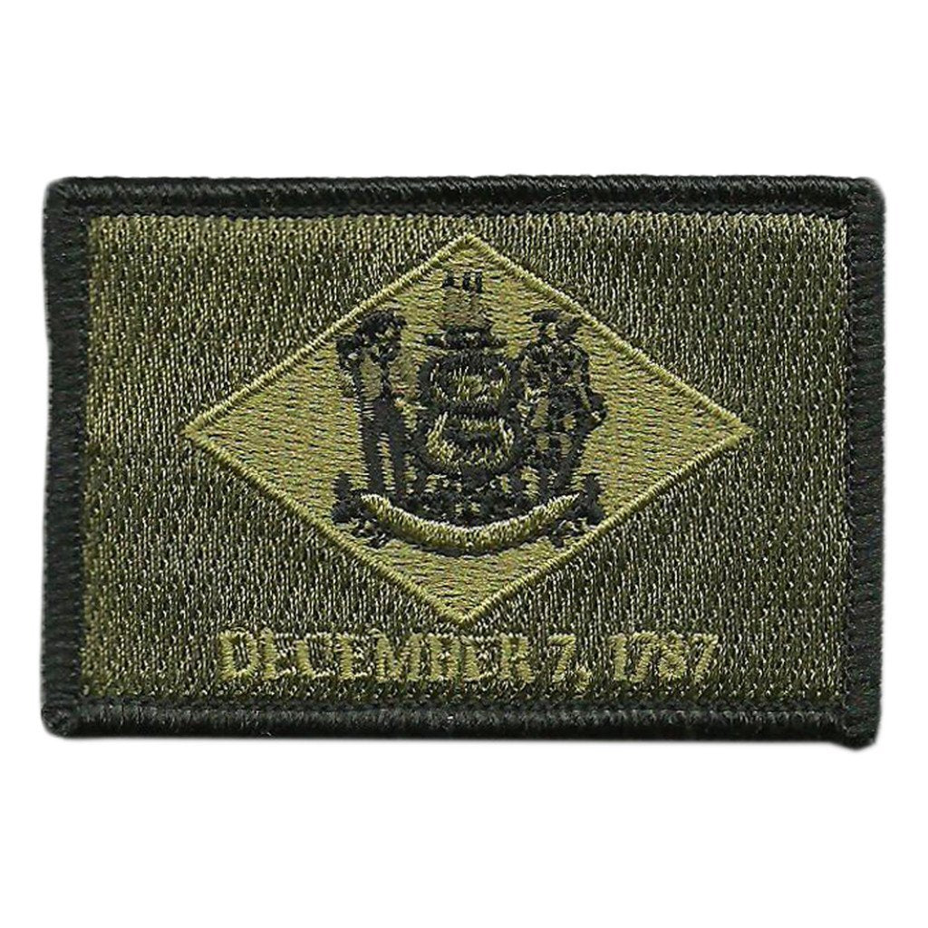 Delaware - Tactical State Patch