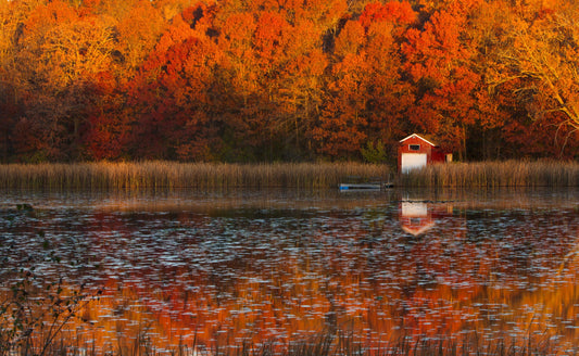 Capture Minnesota: Volume IV