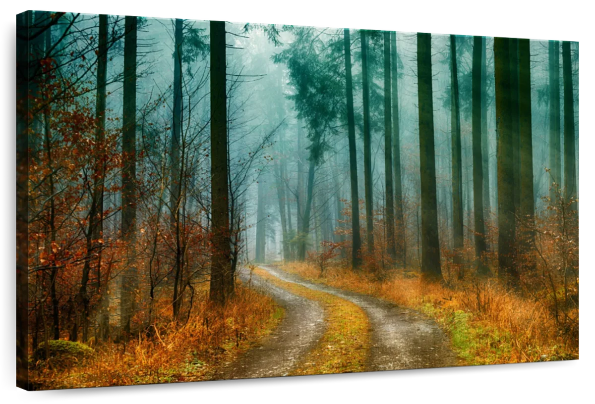 Autumn Forest Pathway Wall Art