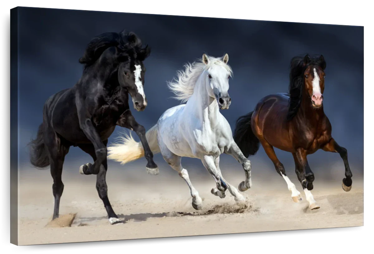 Wild Colorful Horses Wall Art