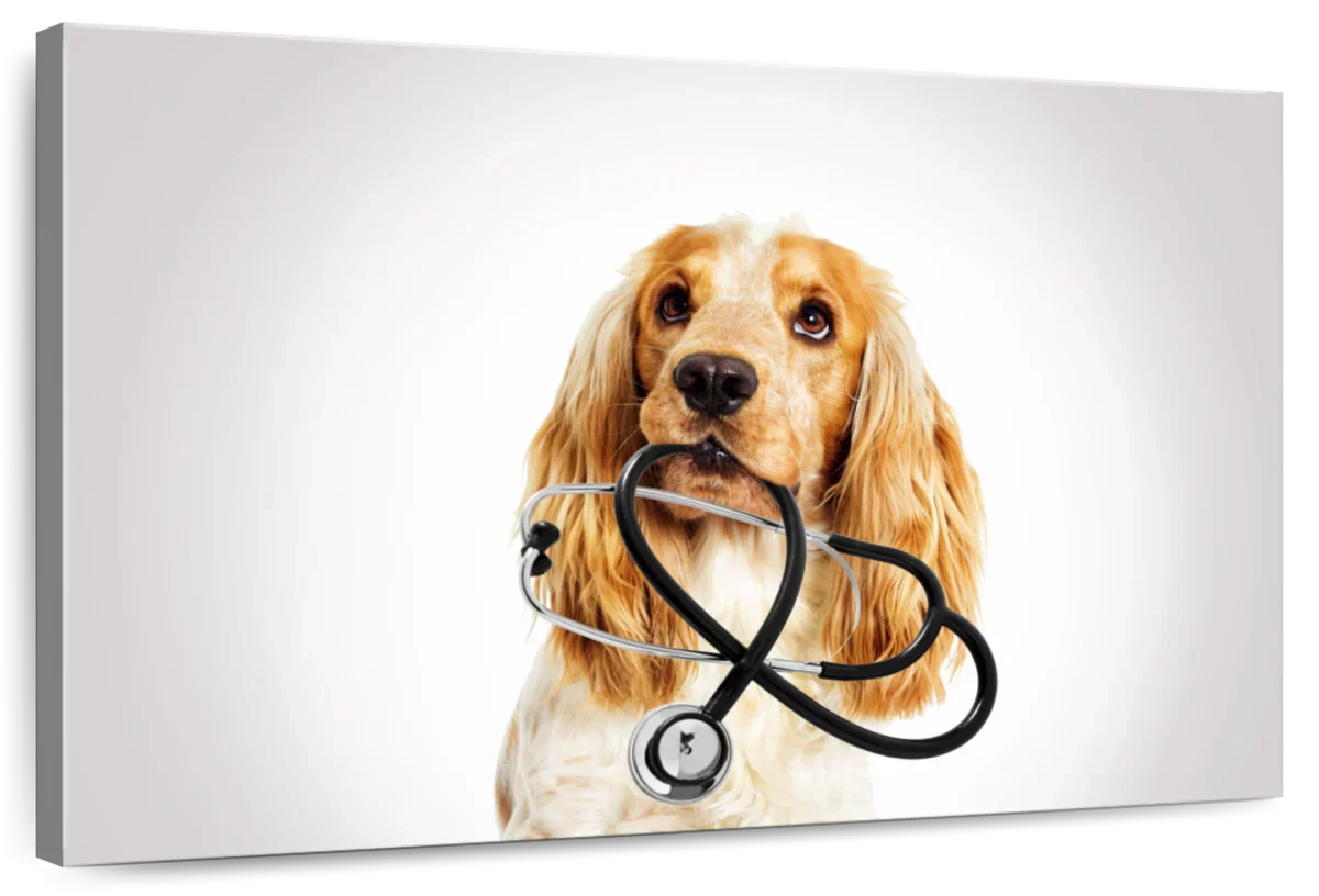 Doctor Dog Wall Art