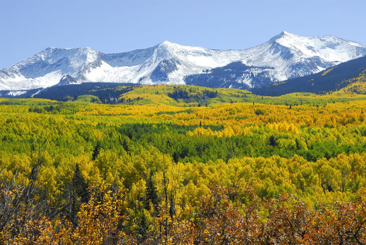 Capture My Colorado: Aspen