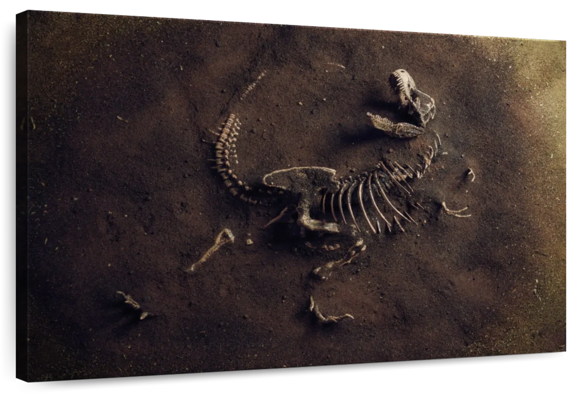Dinosaur Skeleton Wall Art