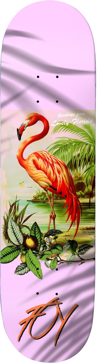 Deathwish Foy "Flamingo" 8" Skateboard Deck