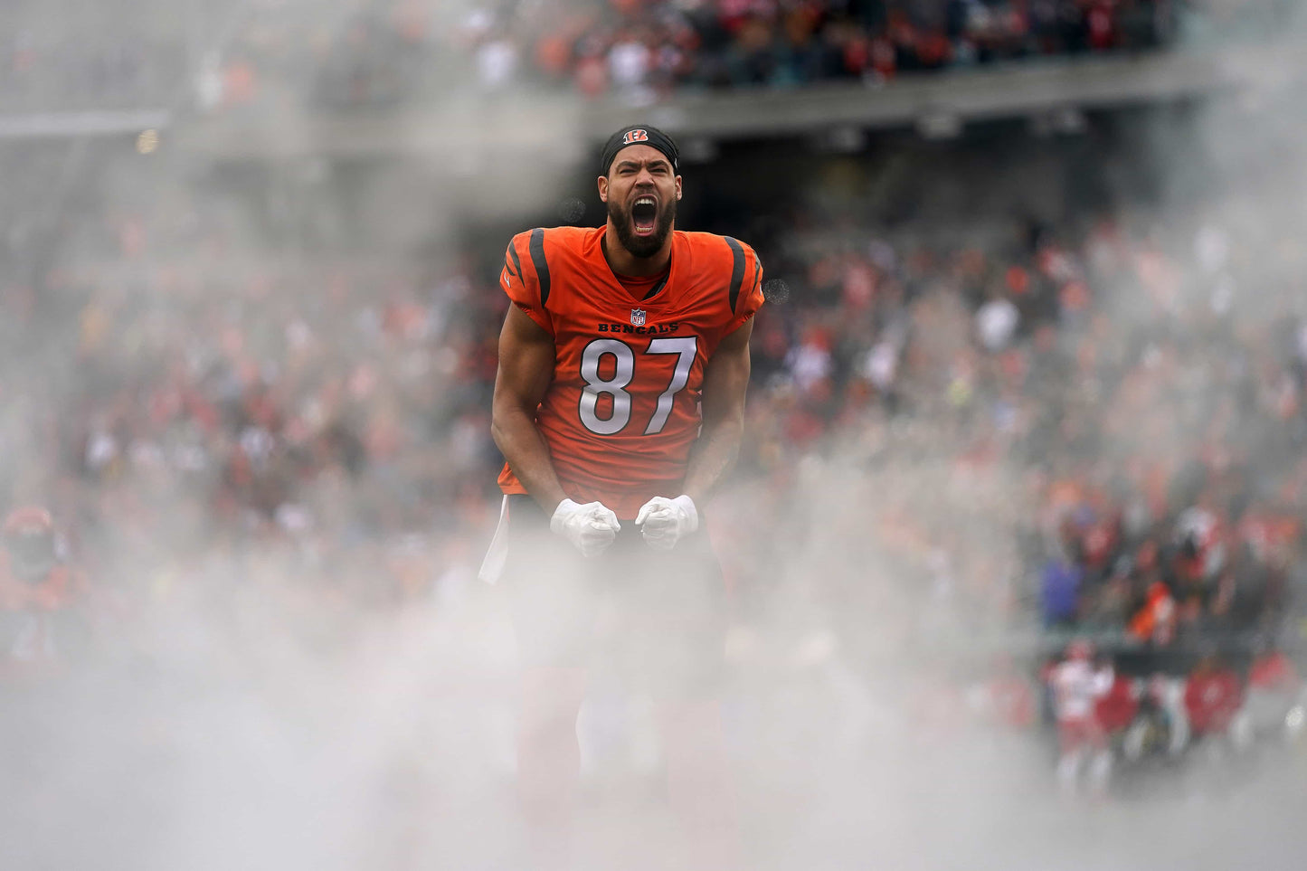 Rule Them All: How the Cincinnati Bengals Captured Their First AFC Title in Three Decades
