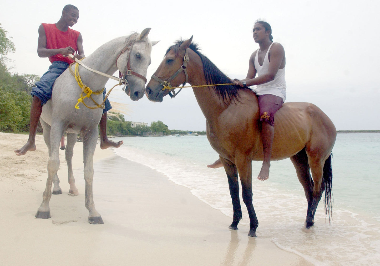 Portraits of Paradise