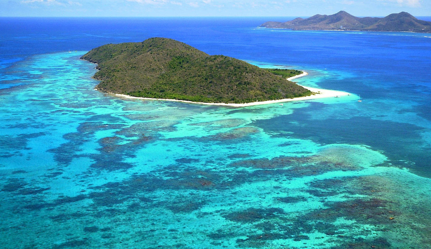 Portraits of Paradise