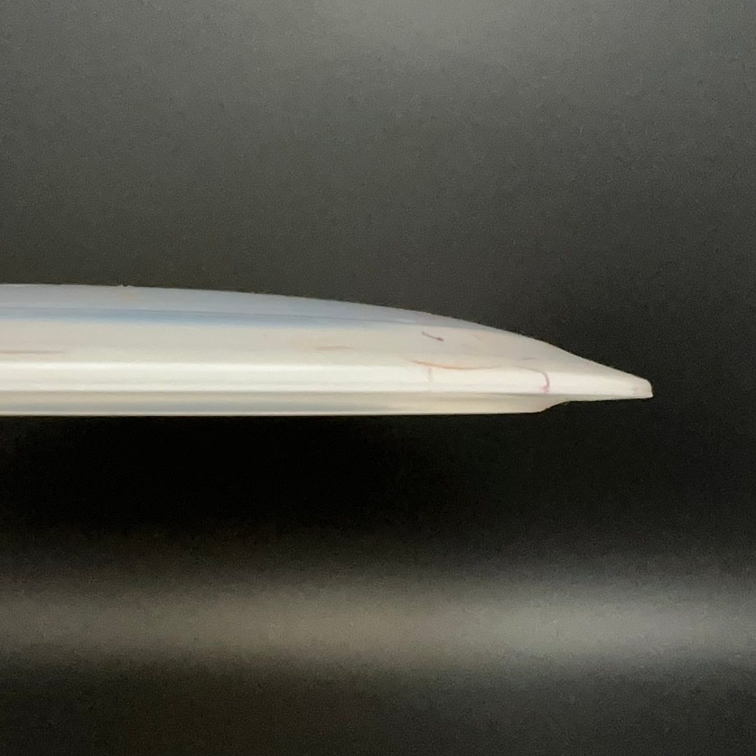 Egg Shell Allosaurus - Special Edition