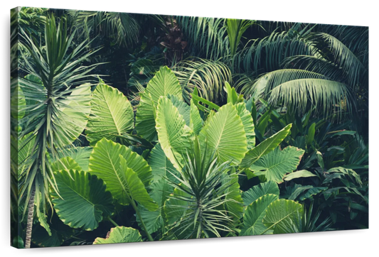 Tropical Jungle Wall Art