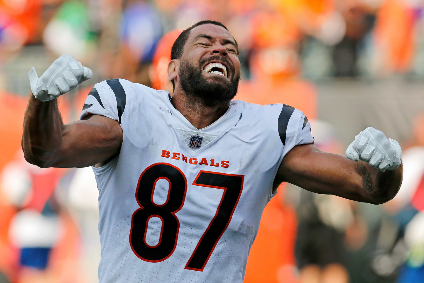 Rule Them All: How the Cincinnati Bengals Captured Their First AFC Title in Three Decades