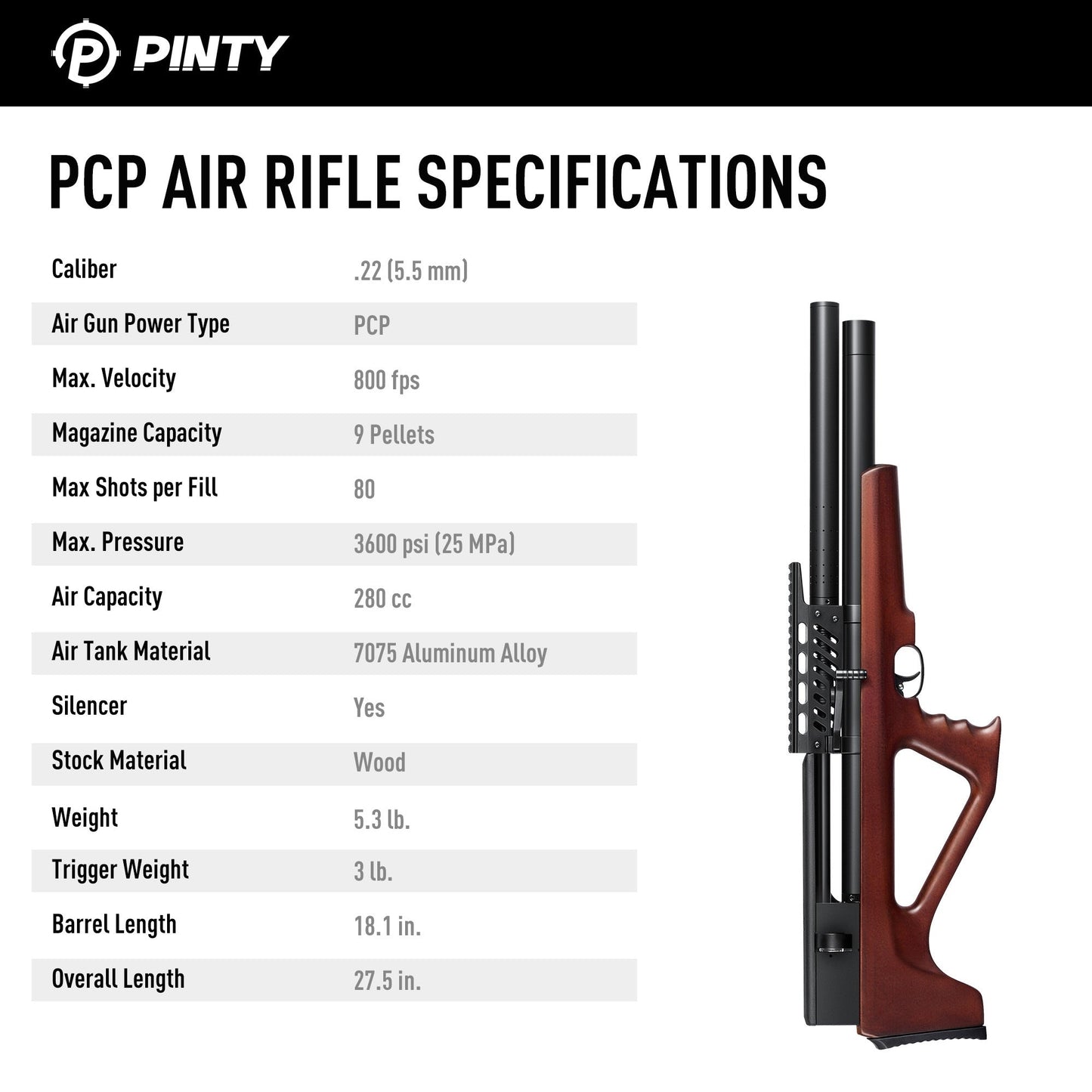Pinty Thumper Compact Bullpup