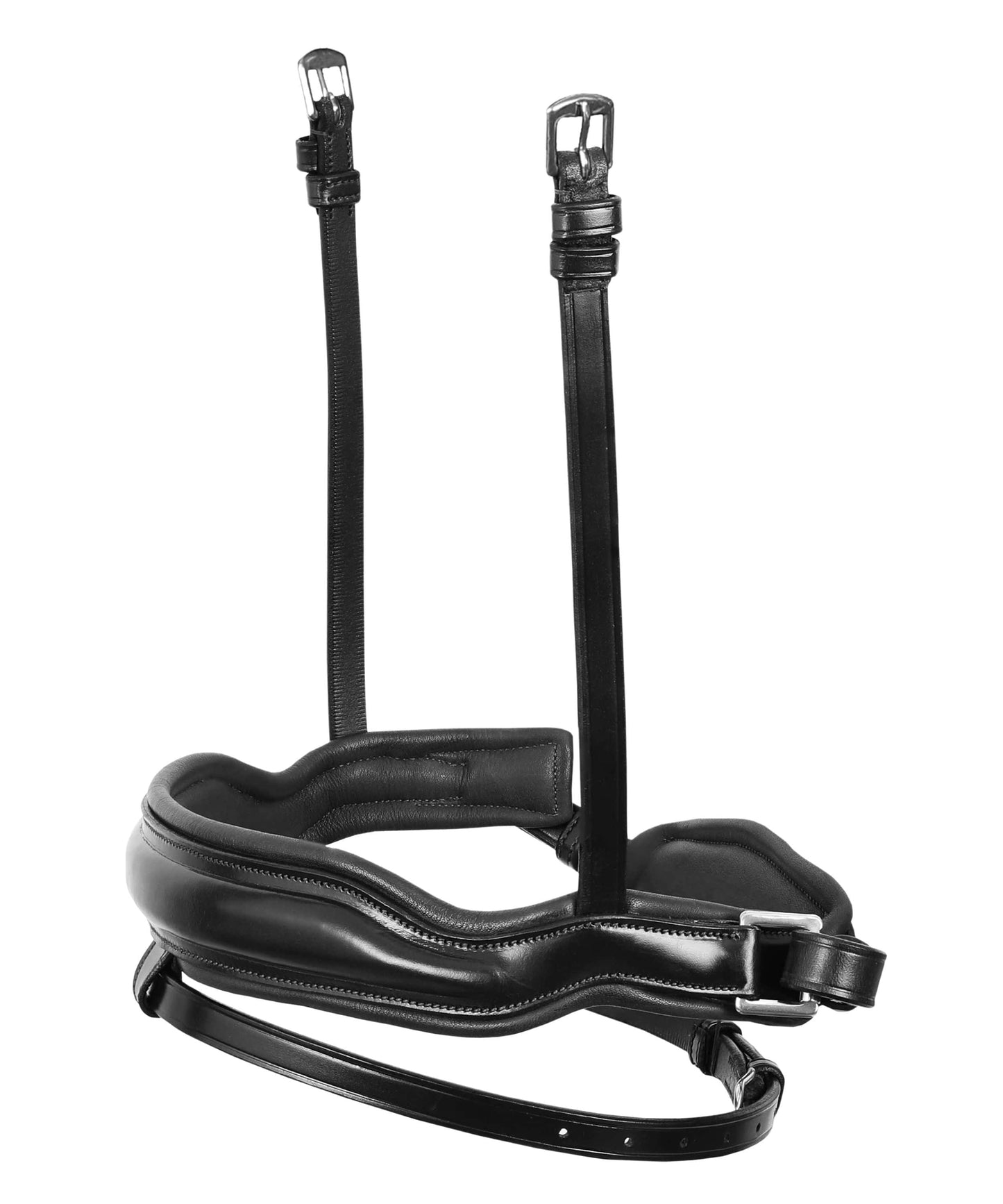 ExionPro 'Leo' Dressage Bridle with Reins