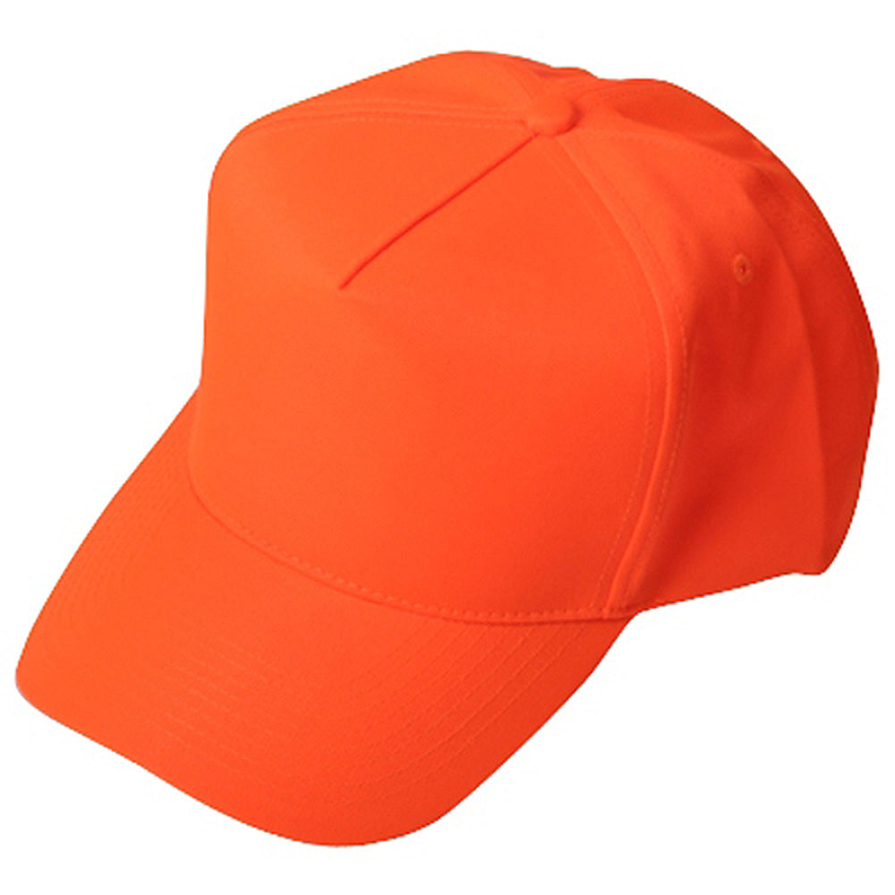 High Visibility Cap