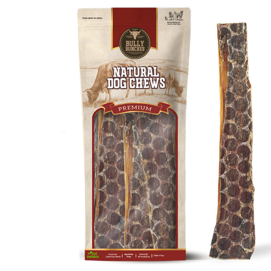12 Inch Beef Jerky Strip