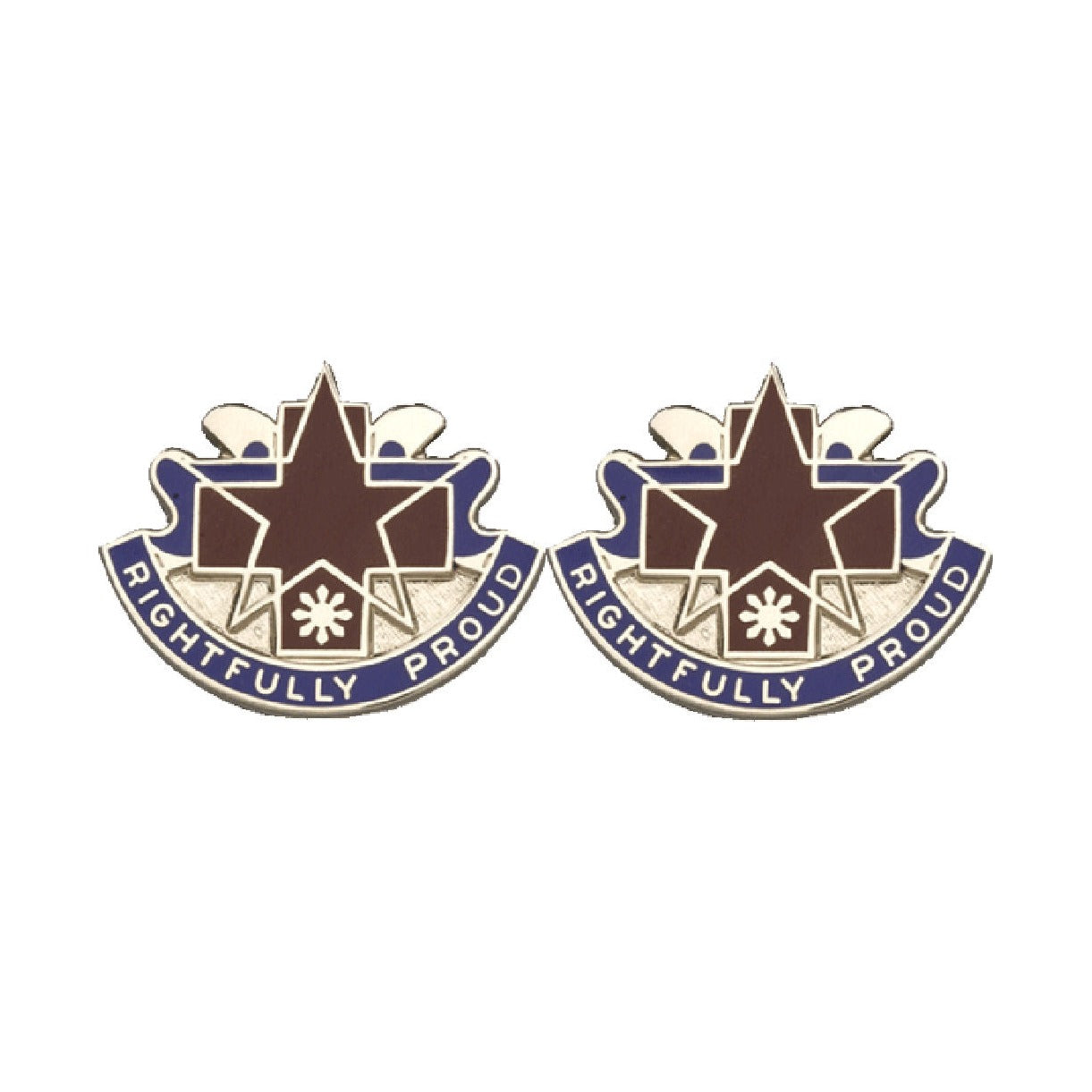 131st Field Hospital Distinctive Unit Insignia - Pair - RIGHFULLY PROUD