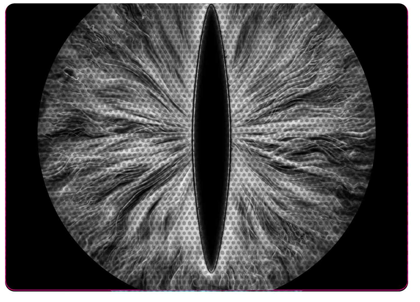 Black and white Eye decals for YJ or 5x7 headlights