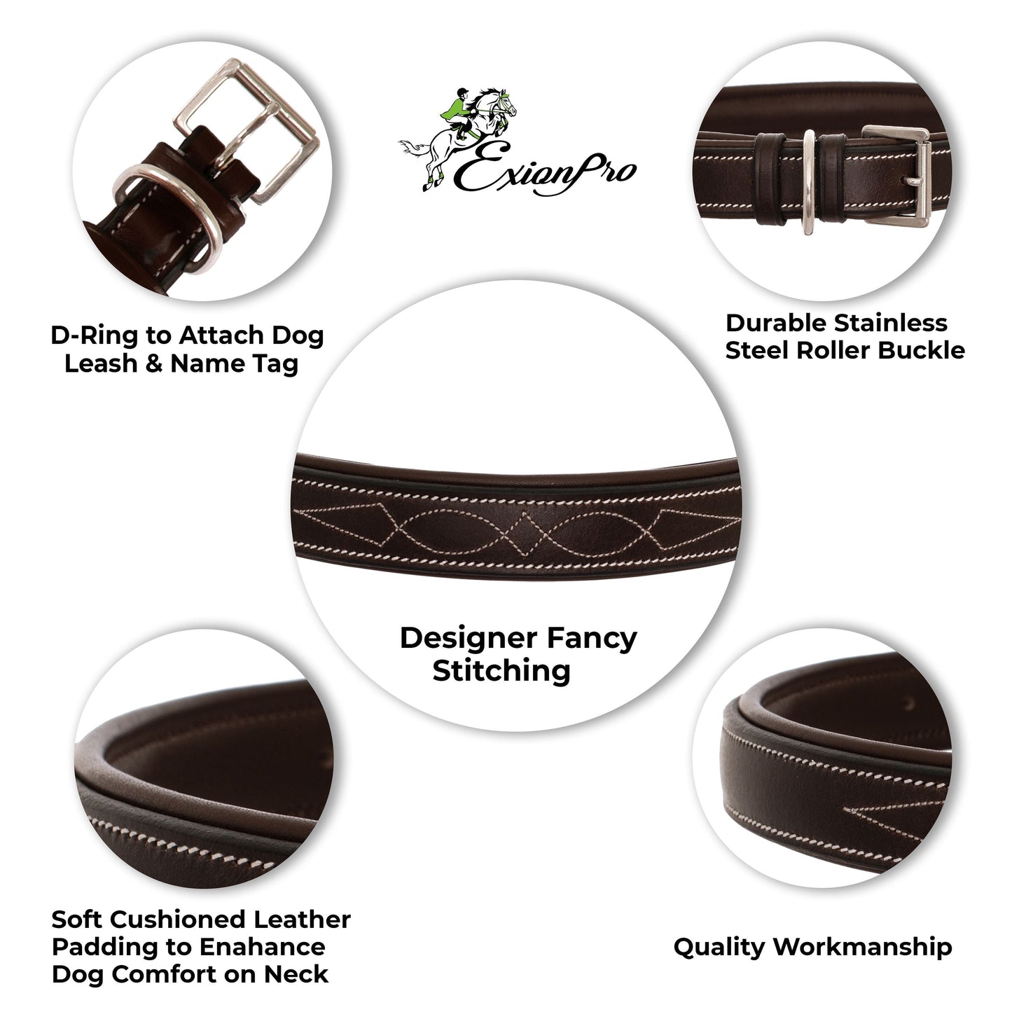 ExionPro Fancy Stitched Padded Leather Dog Collar - Conker Padding