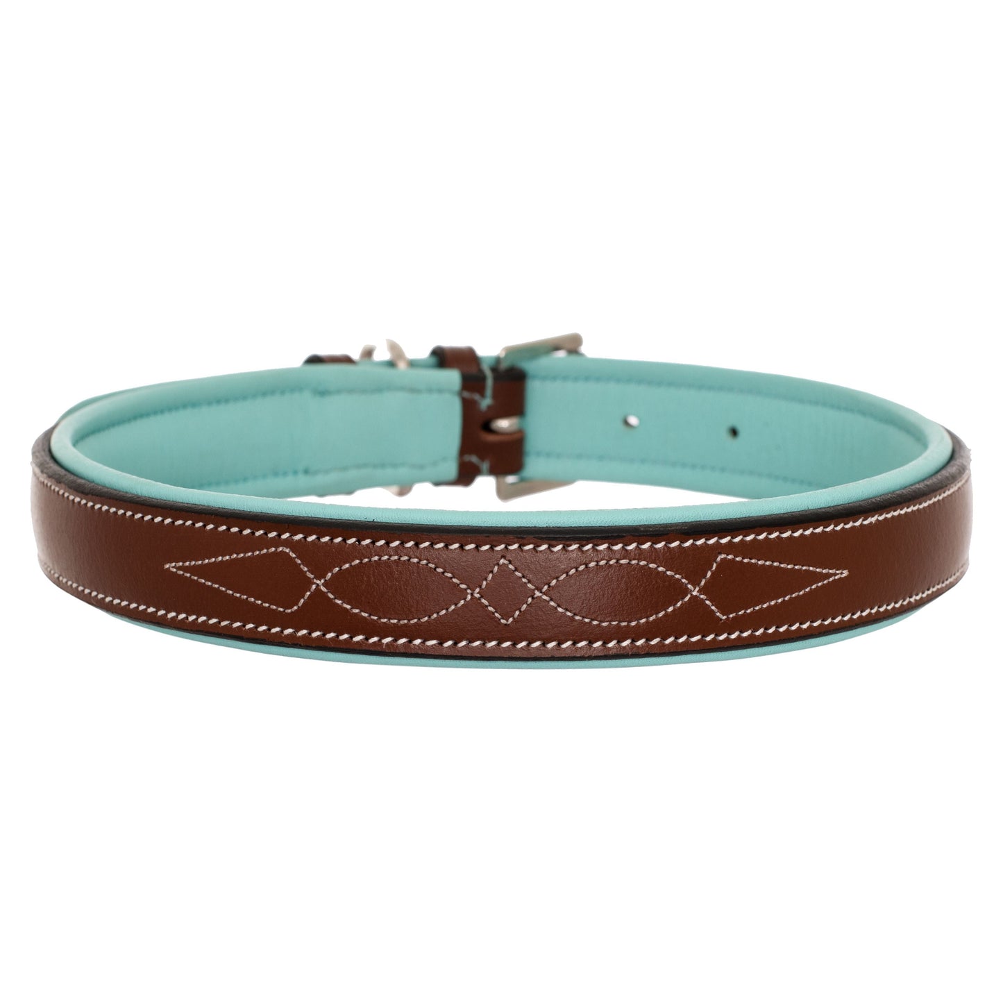 ExionPro Fancy Stitched Padded Leather Dog Collar - Sky Blue Padding