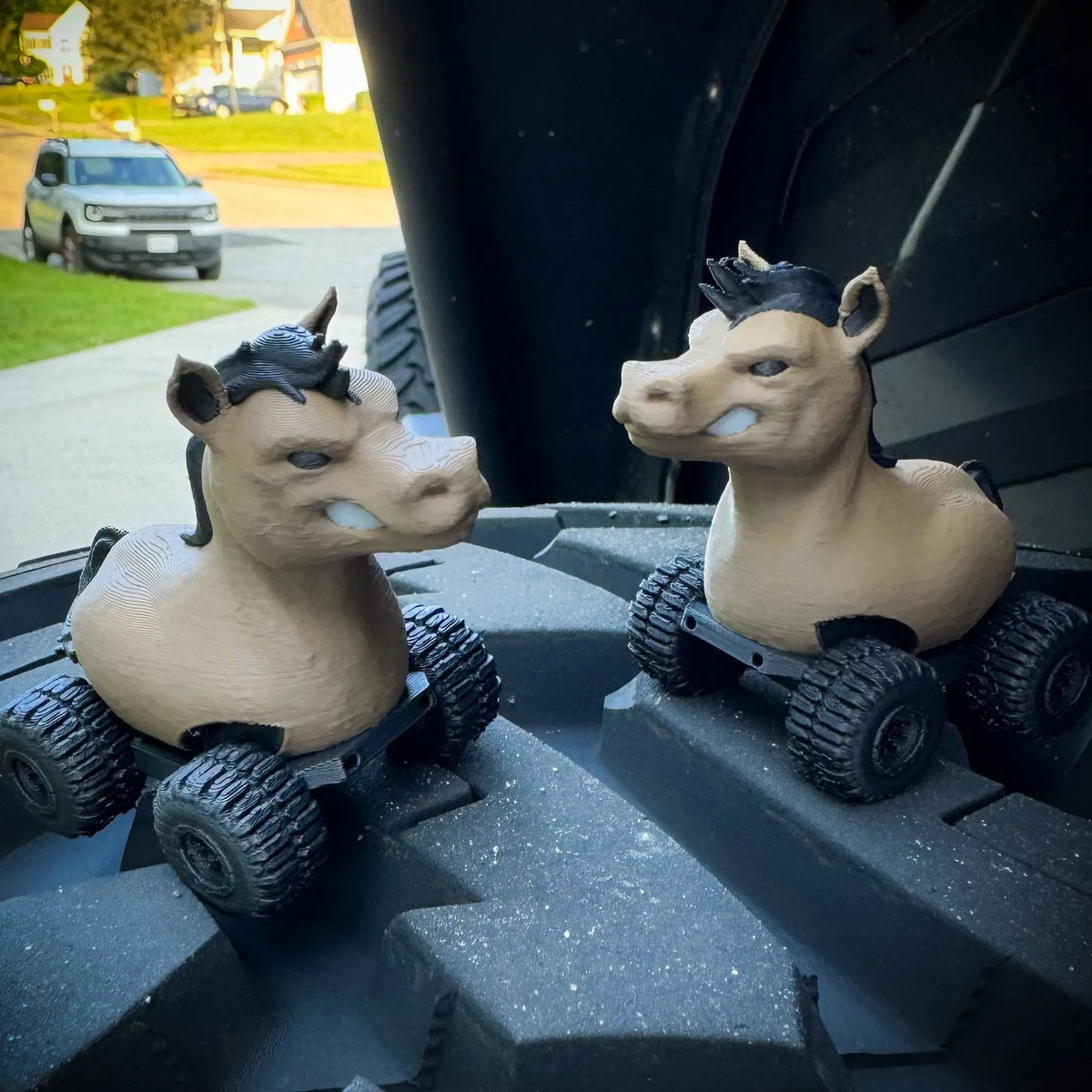 Buk’n Bronc