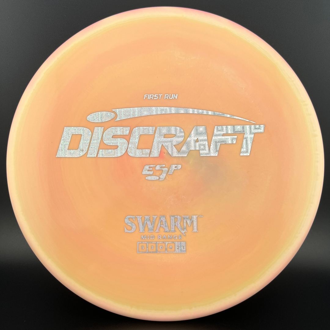 ESP Swarm - First Run