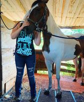 Look Pretty Play Dirty Tank Top | Pink, Blue, Black