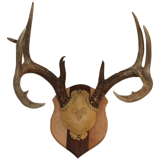Antler Plaques