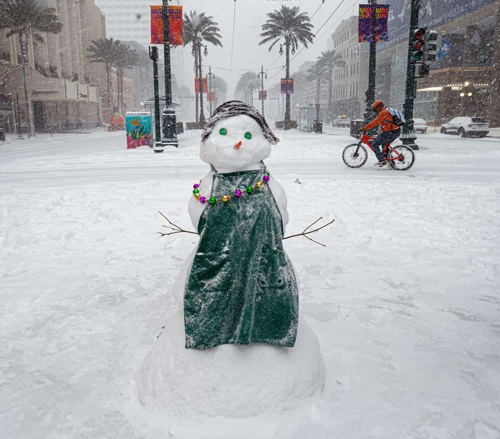 So Much Snow! A Joyous Celebration of the 2025 Louisiana Snowstorm