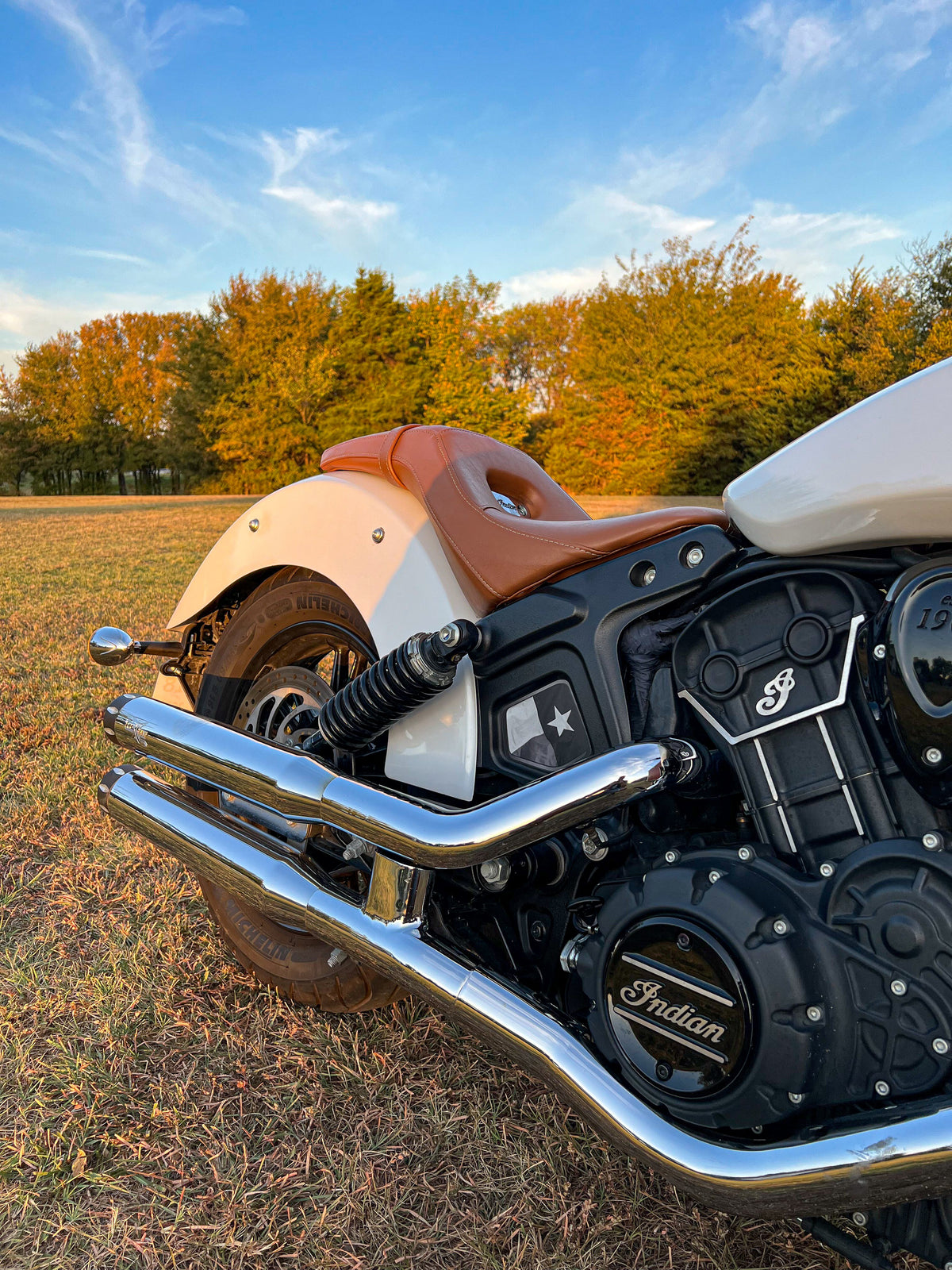 Indian Scout Mid-Frame Insert - Texas Flag
