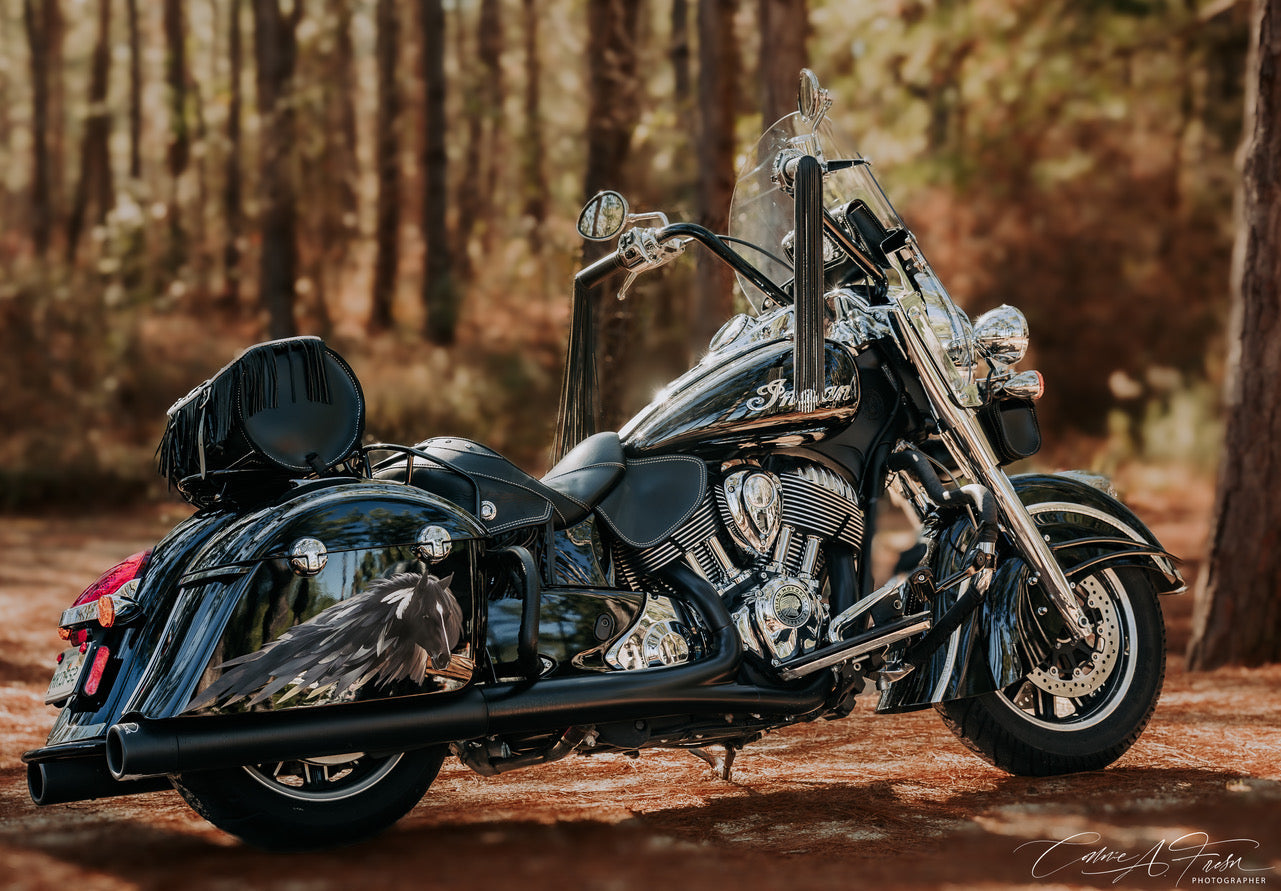 Dark Horse 2023 (color) Saddlebag Decal Set for Indian Motorcycles